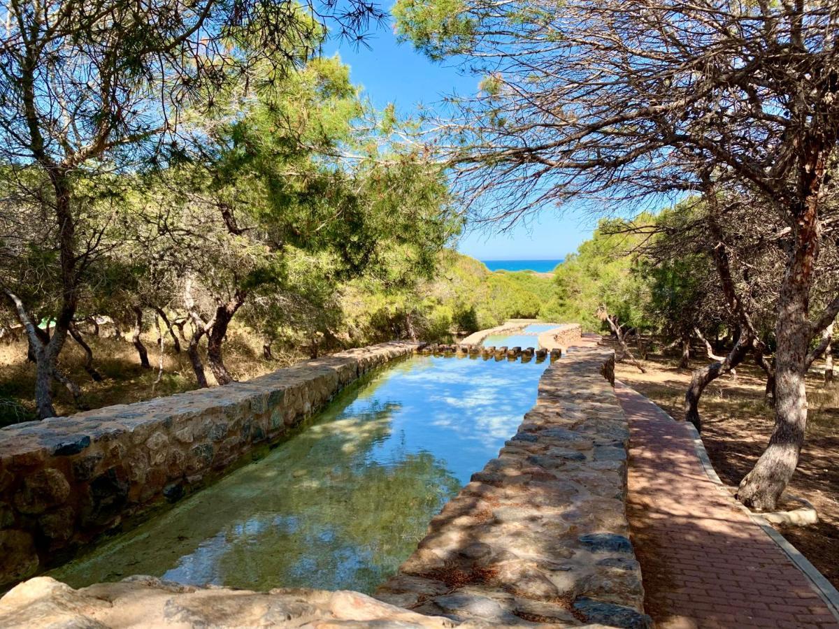 Your Holidays In La Mata Torrevieja Extérieur photo